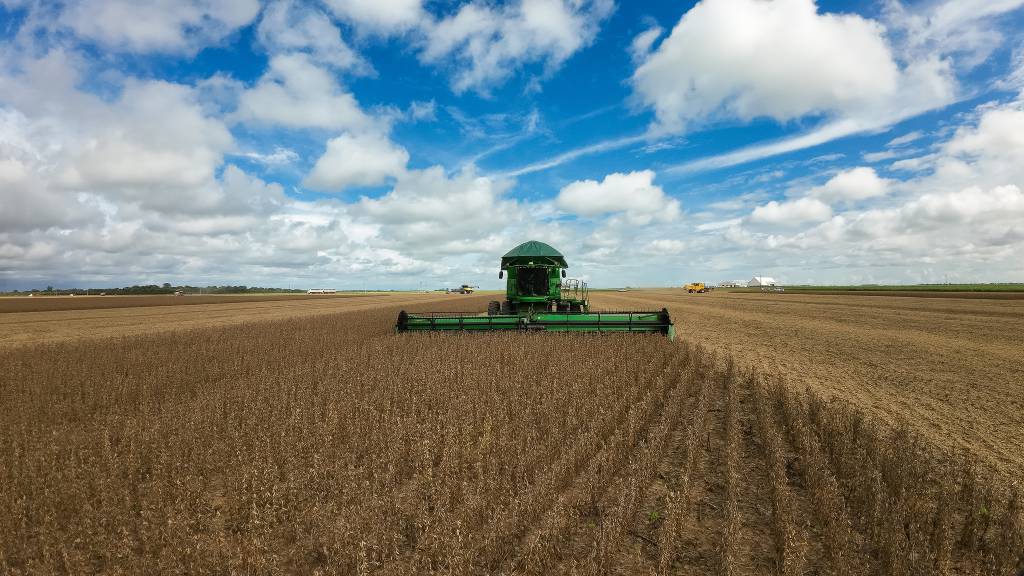 Colheita de soja alcança 57,9% e de milho atinge 32%, diz bolsa de Cereais