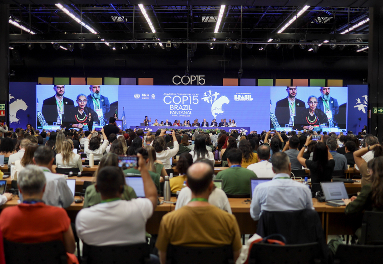 Brasil assume presidência da COP15 com agenda histórica para conservação de espécies migratórias