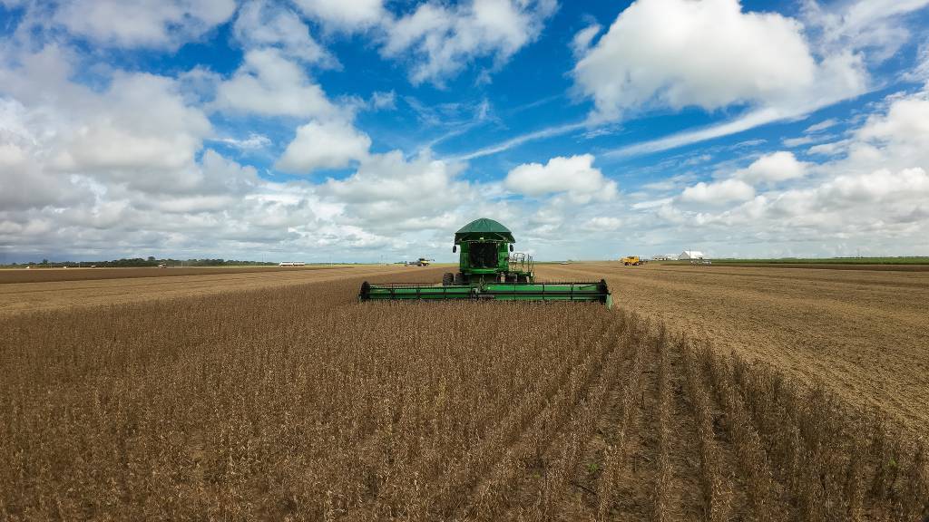 Colheita de soja no Paraná atinge 37% com produtividade variável, afirma Deral