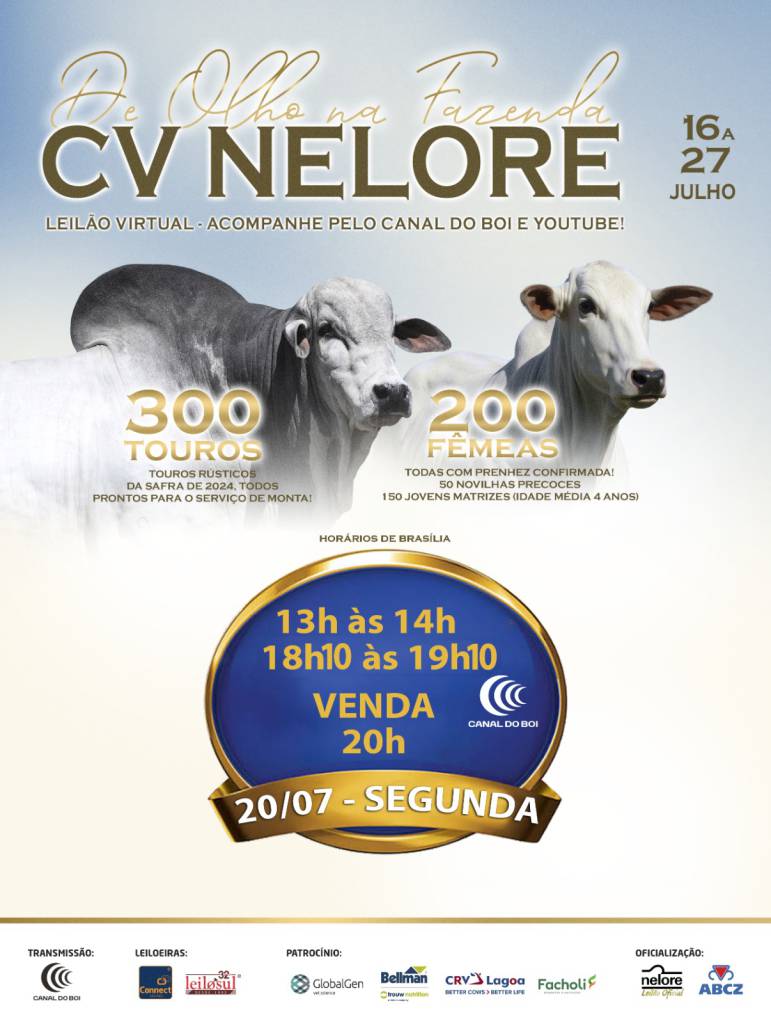 De Olho na Fazenda CV Nelore abre a semana com oferta de touros e matrizes hoje