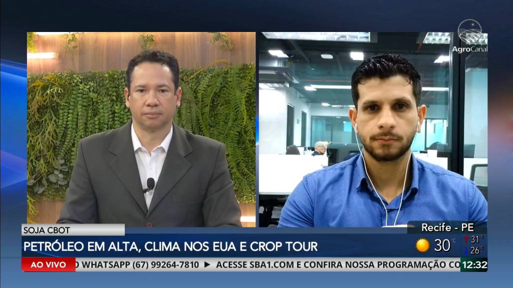 Soja sobe em Chicago impulsionada pelo petróleo, clima e prévias do Crop Tour