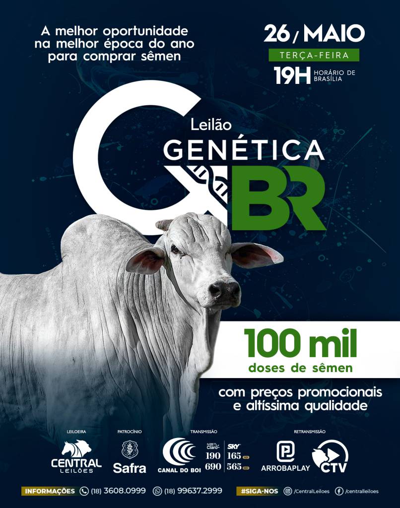 Leilão Genética BR de Sêmen hoje às 19h no Canal do Boi