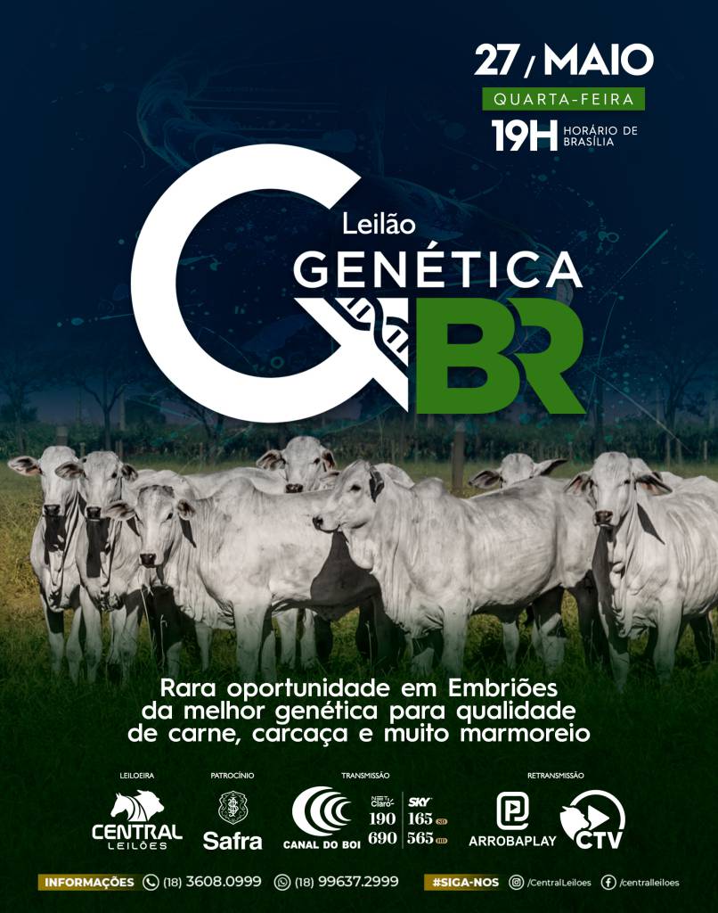 Leilão Genética BR de Embriões hoje às 19h no Canal do Boi
