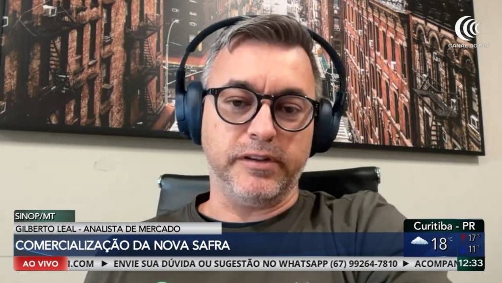 Comercialização da nova safra de soja movimenta mercado