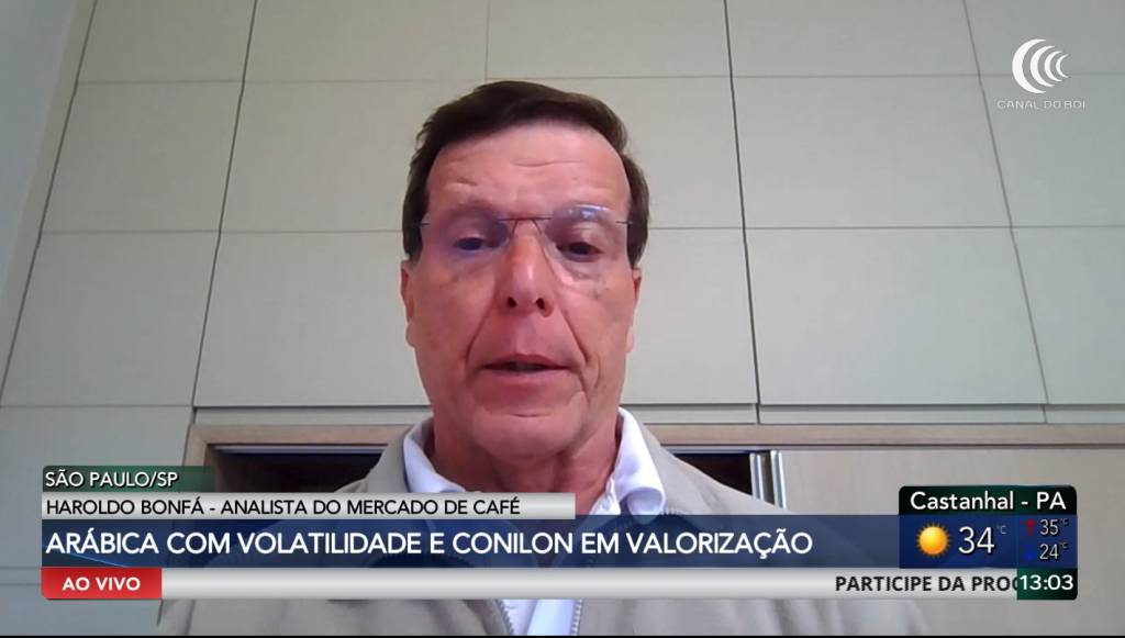 Café arábica oscila e conilon ganha força no mercado