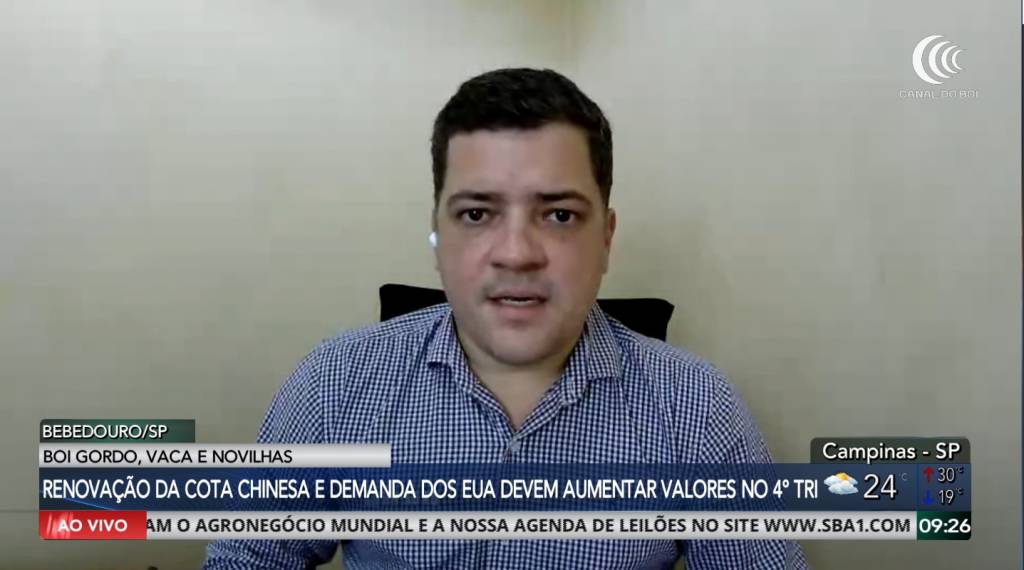 Renovação da cota chinesa e aumento da demanda dos EUA devem aumentar valores para o boi gordo no 4º trimestre/26