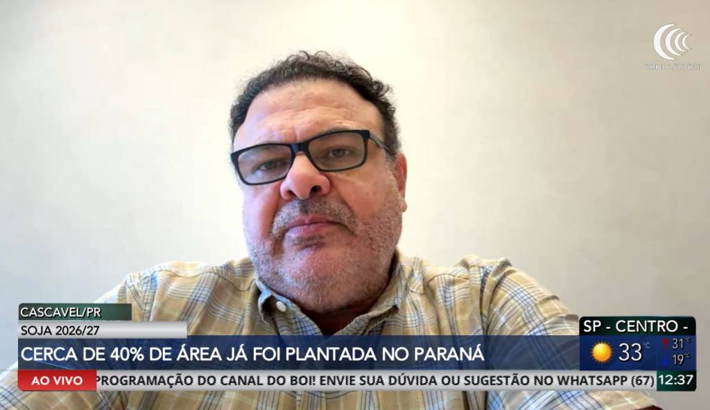 Plantio da soja avança no Paraná e atinge 40% da área prevista