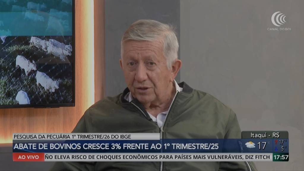 Abates de bovinos crescem no início de 2026 e ampliam oferta de carne no mercado