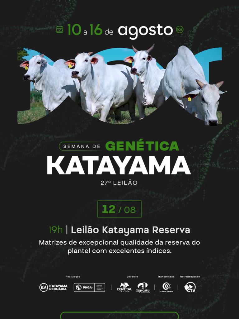 27º Leilão Katayama oferta matrizes de excepcional qualidade da reserva do plantel hoje às 19h no Canal do Boi