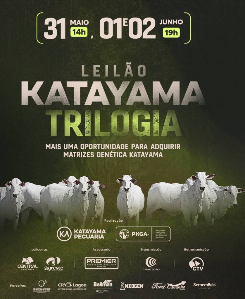 Katayama Trilogia oferta matrizes nelore PO hoje às 19h no Canal do Boi
