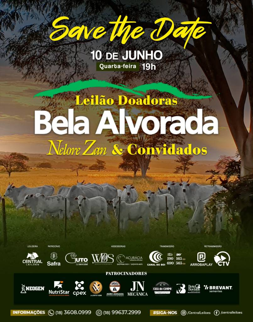 Leilão de Doadoras Bela Alvorada Nelore Zan & Convidados hoje às 19h no Canal do Boi