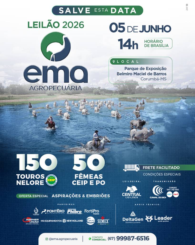 Leilão da Ema Agropecuária hoje às 12h no Canal do Boi