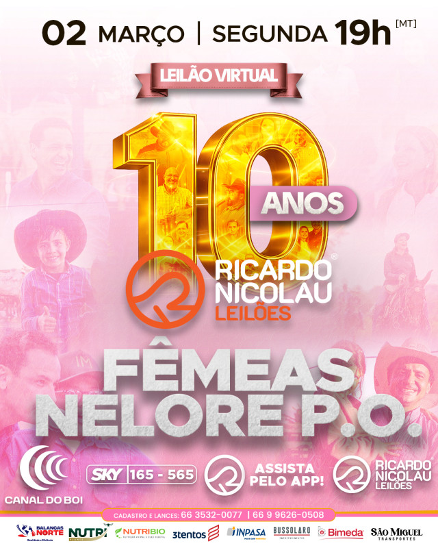 Leilão Especial de Fêmeas Nelore PO hoje no Canal do Boi