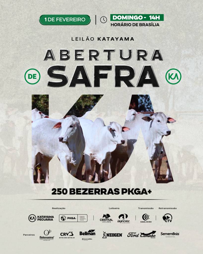Katayama oferta 250 bezerras BKGA neste domingo no Canal do Boi