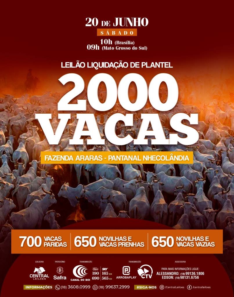 Leilão Liquidação de Plantel da Fazenda Araras oferta 2 mil vacas neste sábado pelo Canal do Boi