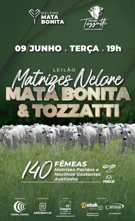 Leilão Matrizes Nelore Mata Bonita & Tozzatti hoje às 19h no Canal do Boi