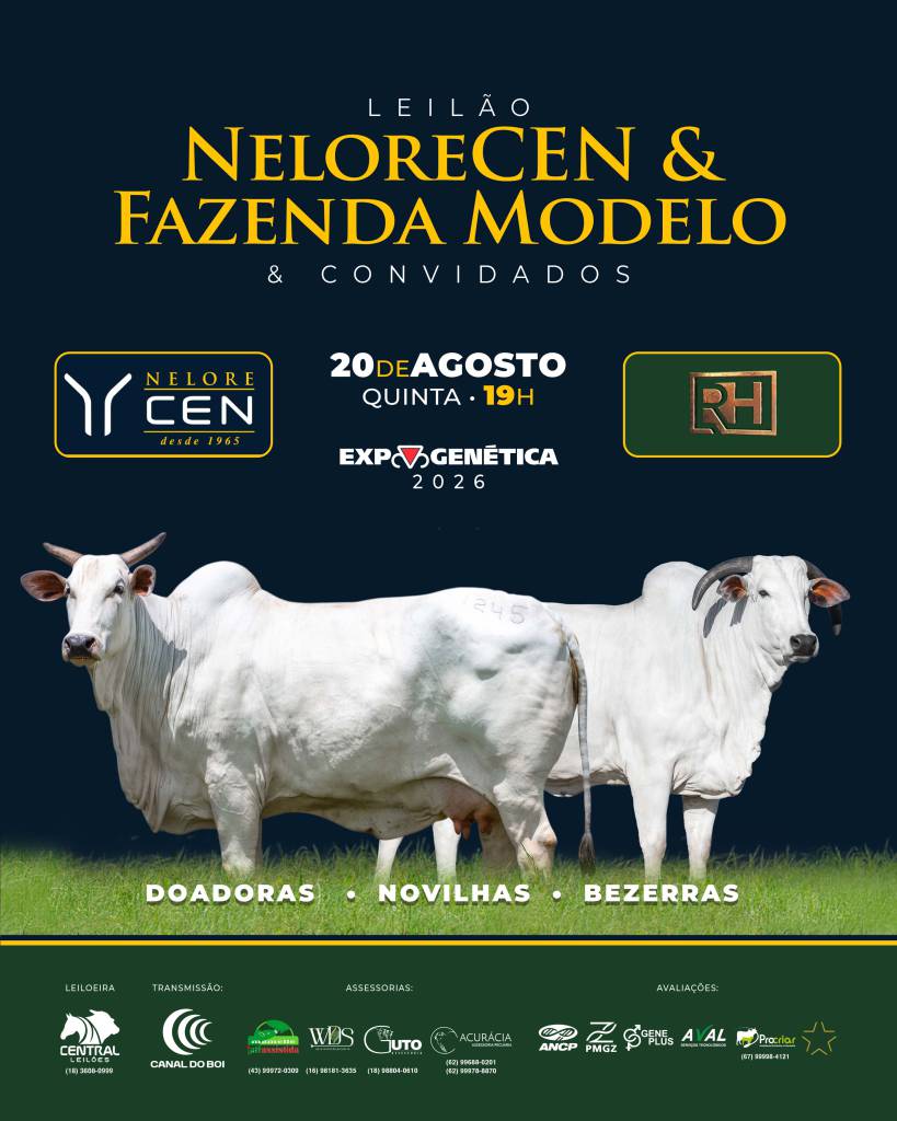 Nelore Cen e Fazenda Modelo ofertam fêmeas selecionadas nesta quinta-feira no Canal do Boi	