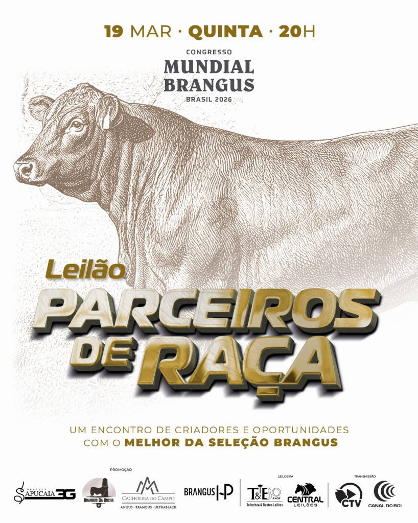 Leilão Parceiros de Raça oferta doadoras, matrizes e touros brangus nesta quinta-feira no Canal do Boi