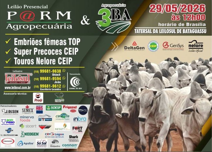 Leilão Presencial P@rm Agropecuária e Agropecuária 3BA hoje às 12h no Canal do Boi 