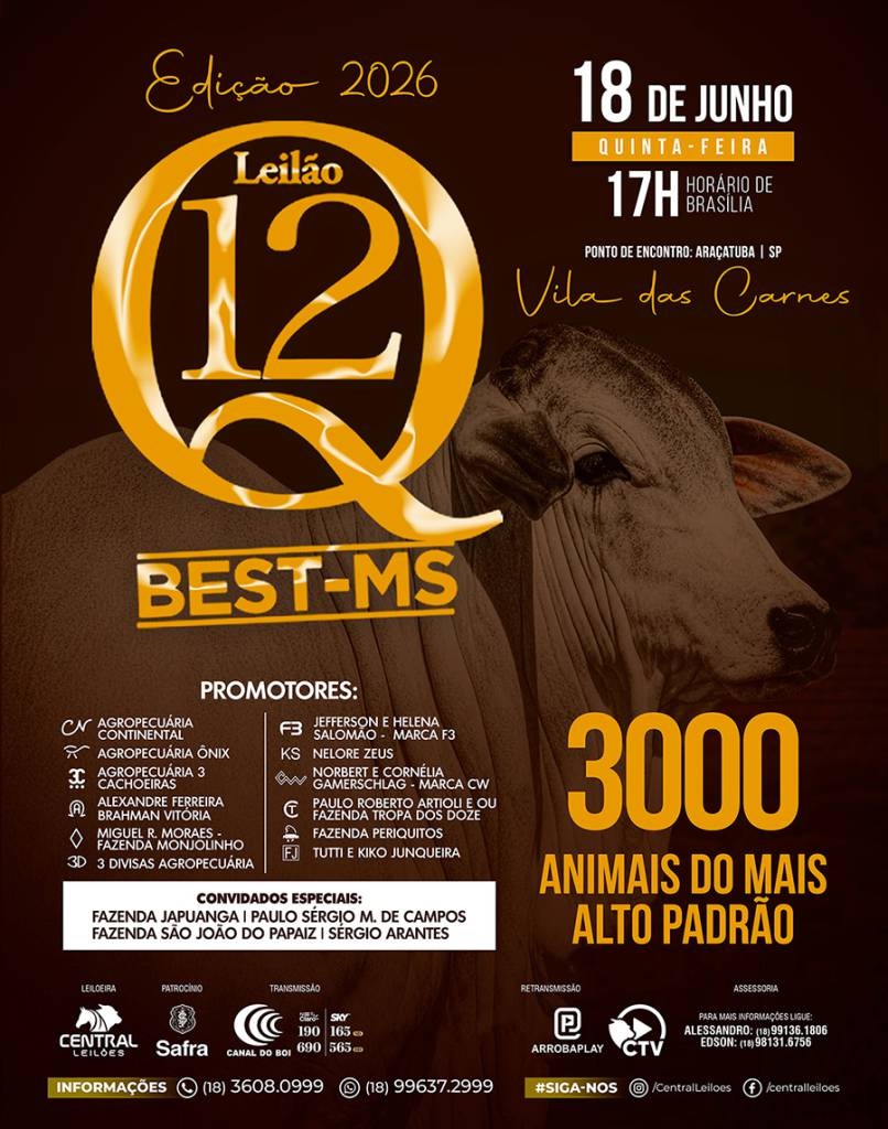 Leilão Q12 Best-MS oferta 3 mil animais de alto padrão nesta quarta-feira no Canal do Boi