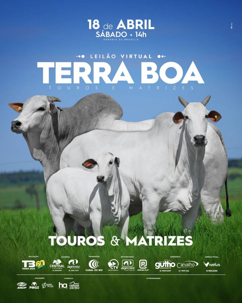 Leilão Virtual Terra Boa neste sábado às 14h no Canal do Boi