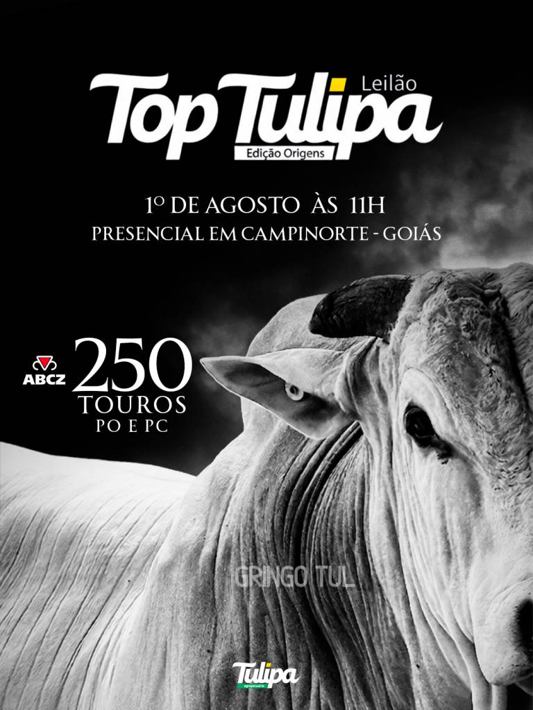 Leilão Top Tulipa Edição Origens oferta 250 touros PO e PC neste sábado no Canal do Boi