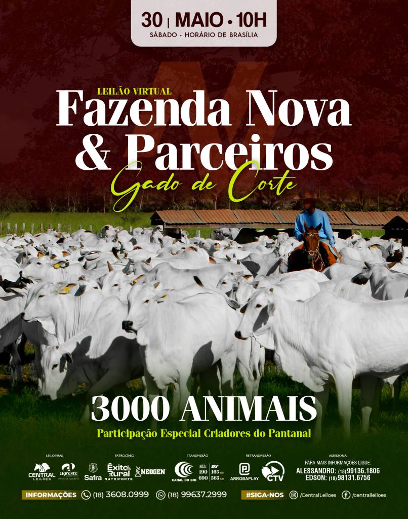 Leilão Virtual Fazenda Nova & Parceiros e o Leilão Fazenda Nova & Central Pantanal Coxim hoje no Canal do Boi