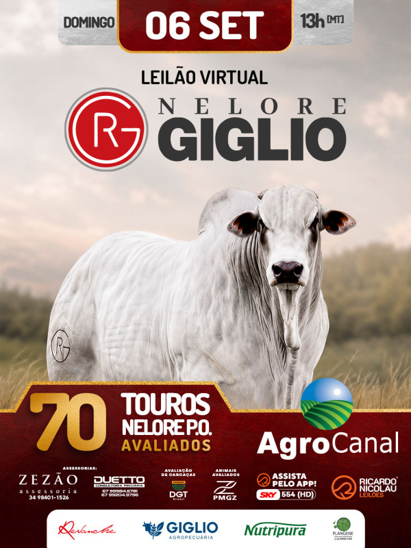 Leilão Virtual Nelore Giglio hoje às 14h no AgroCanal	