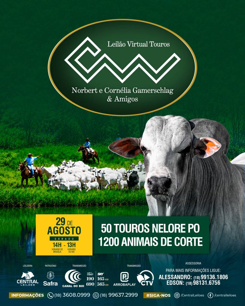 Leilão Marca CW & Amigos oferta touros e gado de corte neste sábado no Canal do Boi
