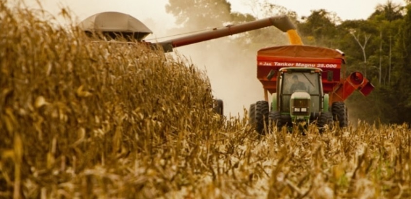 AgRural: safrinha está 4,4% colhida no Centro-Sul ante 2,4% na semana anterior