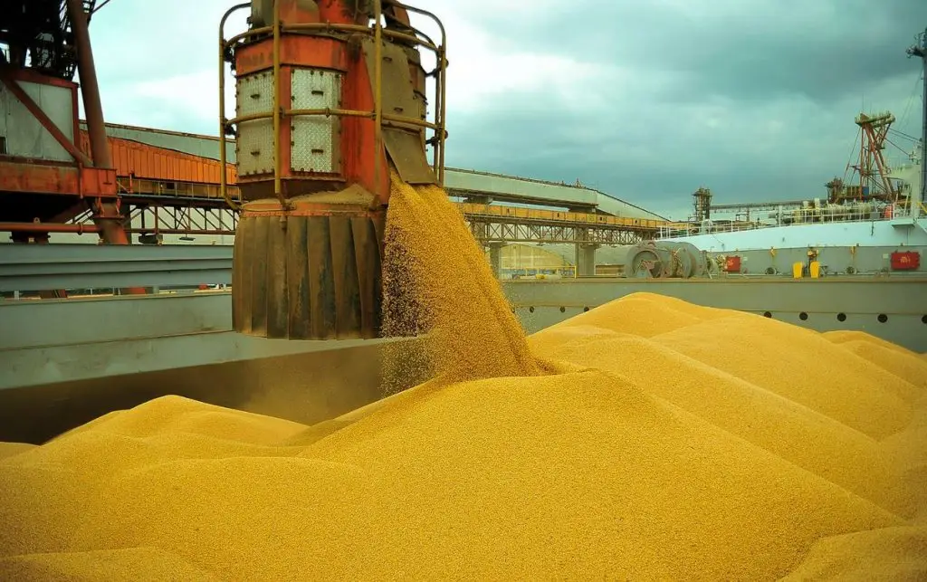 Milho/USDA: exportadores relatam vendas de 120 mil t para destinos desconhecidos