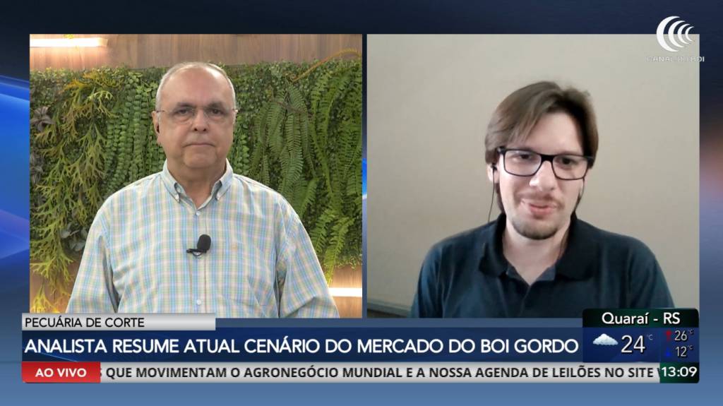 Mercado do boi gordo acompanha possíveis altas na arroba