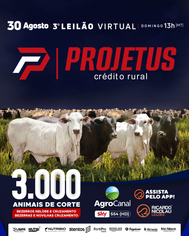3º Leilão Projetus oferta gado de corte neste domingo no AgroCanal