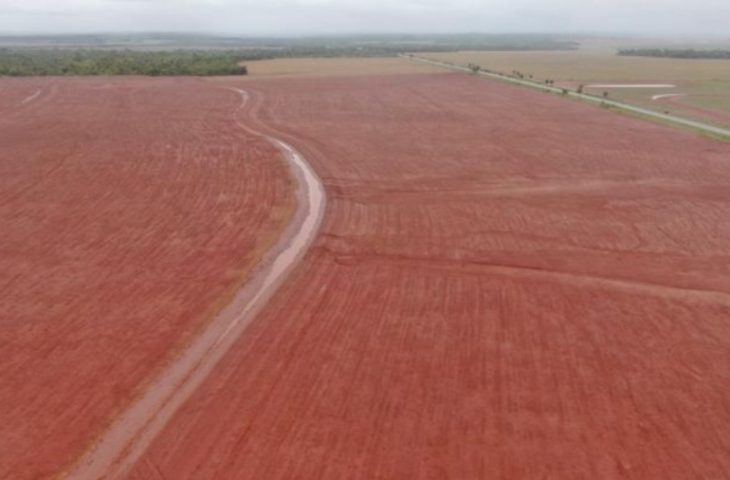 Com forte demanda do campo, FCO teve recorde de financiamentos no estado de Mato Grosso do Sul em 2025