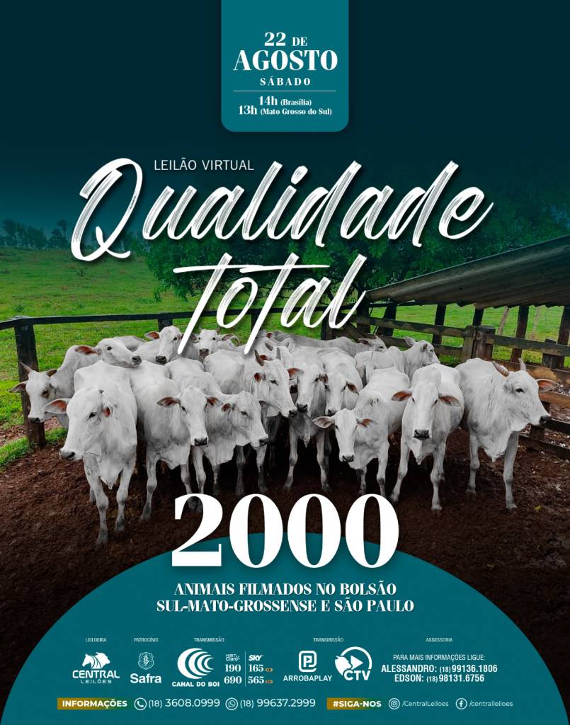 Leilão Virtual Qualidade Total oferta gado de corte neste sábado no Canal do Boi
