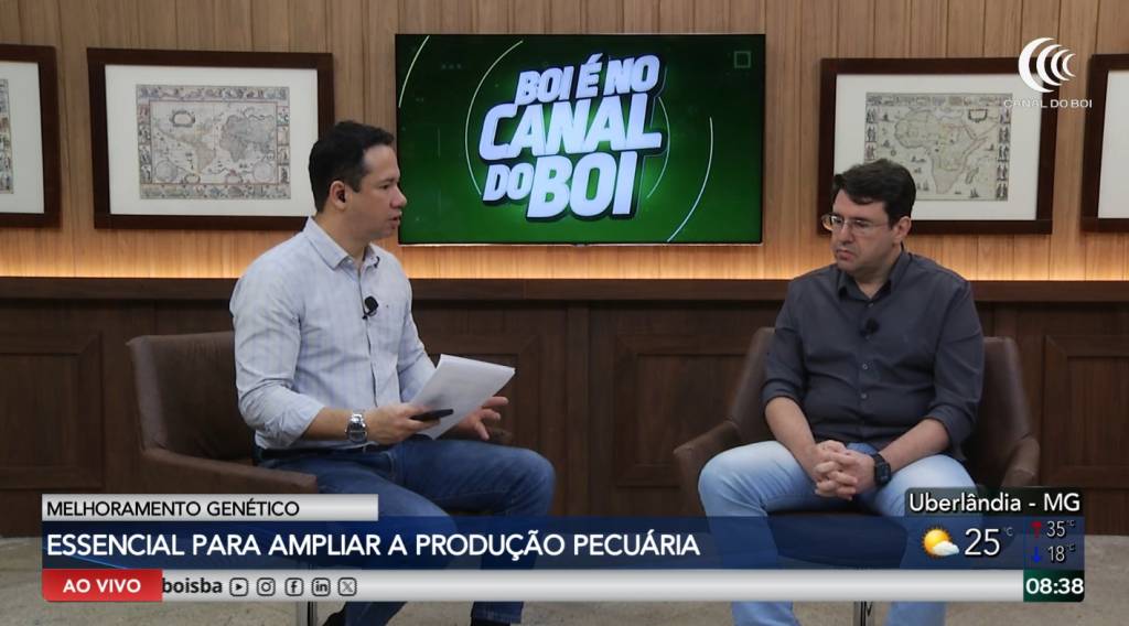 Programas de melhoramento genético ajudam a ampliar e melhorar a produção pecuária