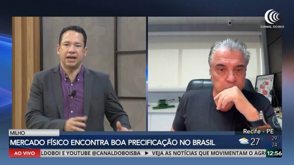 Milho encontra boas oportunidades de preço no Brasil