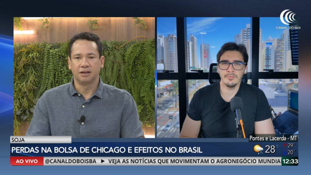 Soja recua em Chicago com avanço do plantio nos EUA