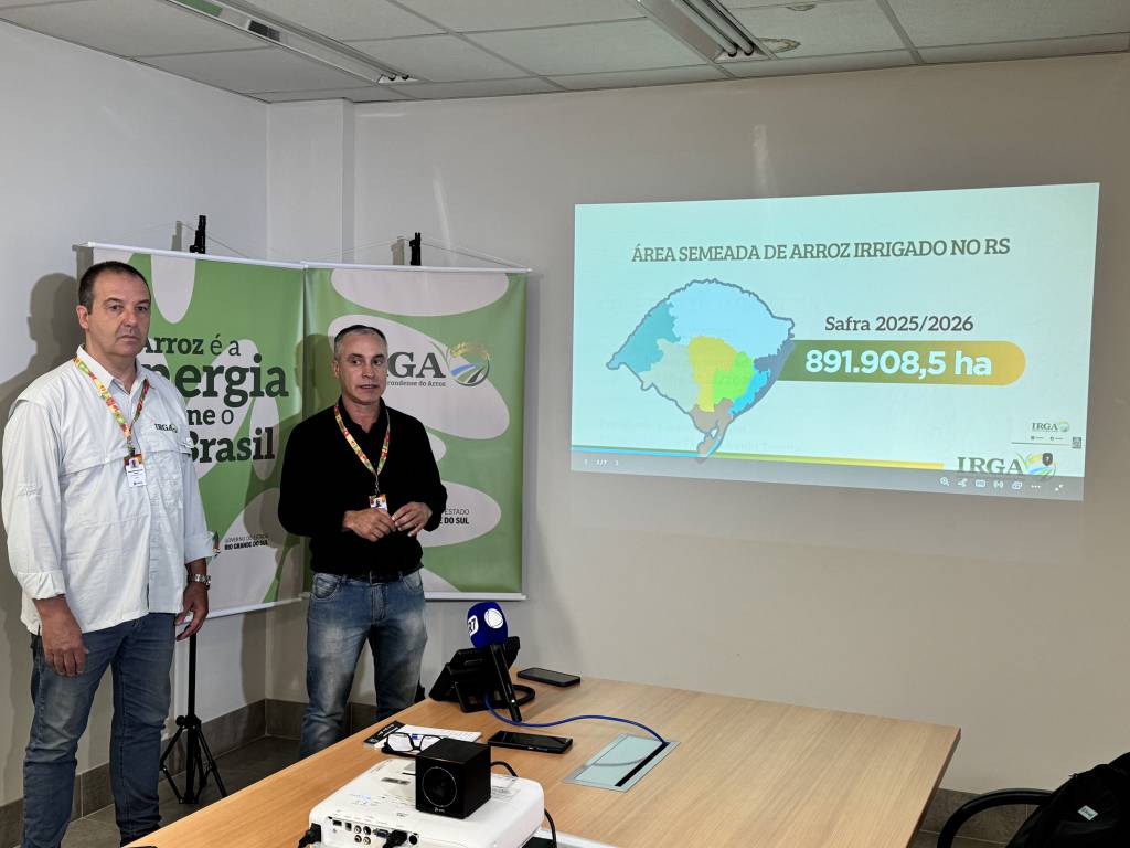 Área de arroz plantada no Rio Grande do Sul recua 8% na safra 2025/2026