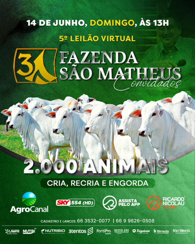 5º Leilão Virtual Fazenda São Matheus e Convidados hoje às 14h no AgroCanal