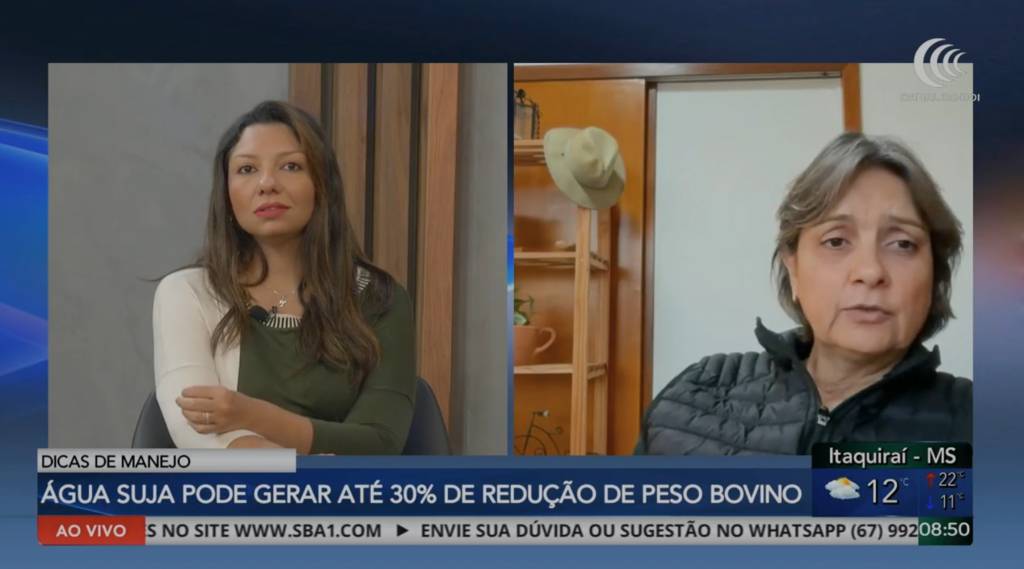 Água de qualidade é aliada da produtividade e da saúde do rebanho, alertam especialistas