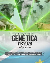 Pecuária lucrativa e seleção por índices econômicos ditam o Encontro Técnico Embrapa Geneplus 2026