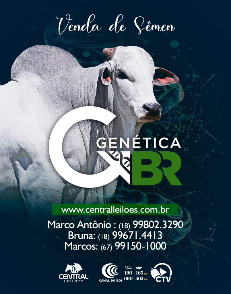 Genética BR realiza venda especial de sêmen dos melhores touros do mercado hoje às 20h no Canal do Boi