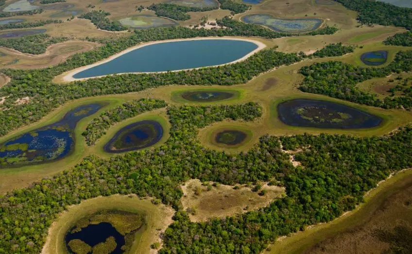 Conservação do solo impulsiona produtividade e sustentabilidade no Pantanal de Mato Grosso do Sul