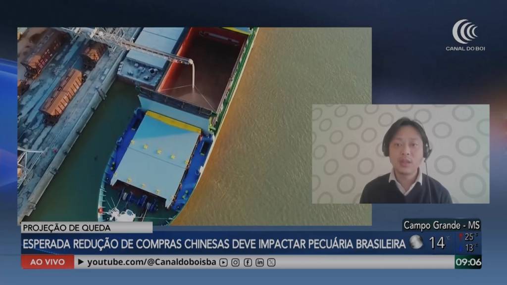 Desaceleração das exportações de carne bovina pode pressionar mercado pecuário em 2026
