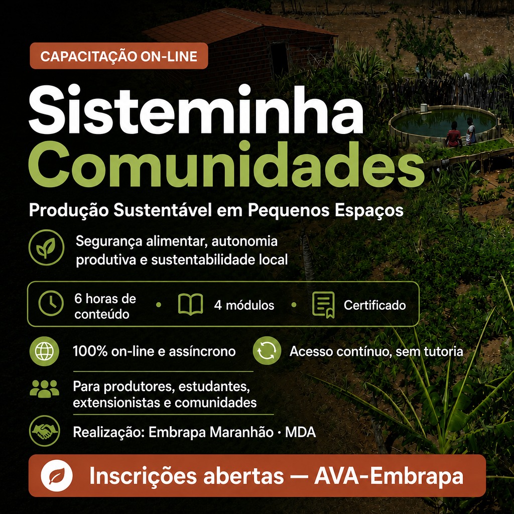 Embrapa Maranhão oferece capacitação on-line sobre produção sustentável em pequenos espaços