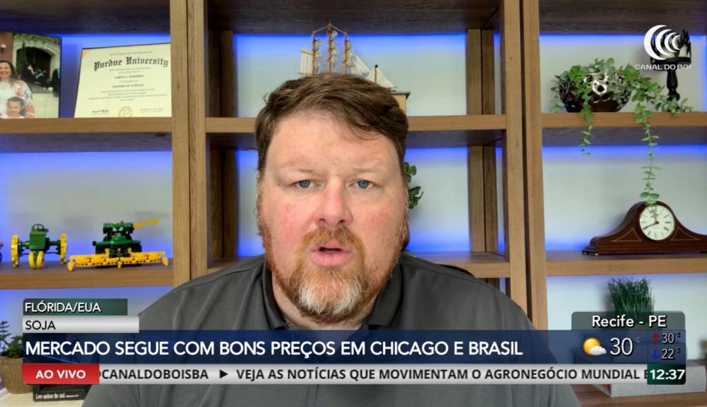 Soja mantém preços firmes em Chicago e no Brasil