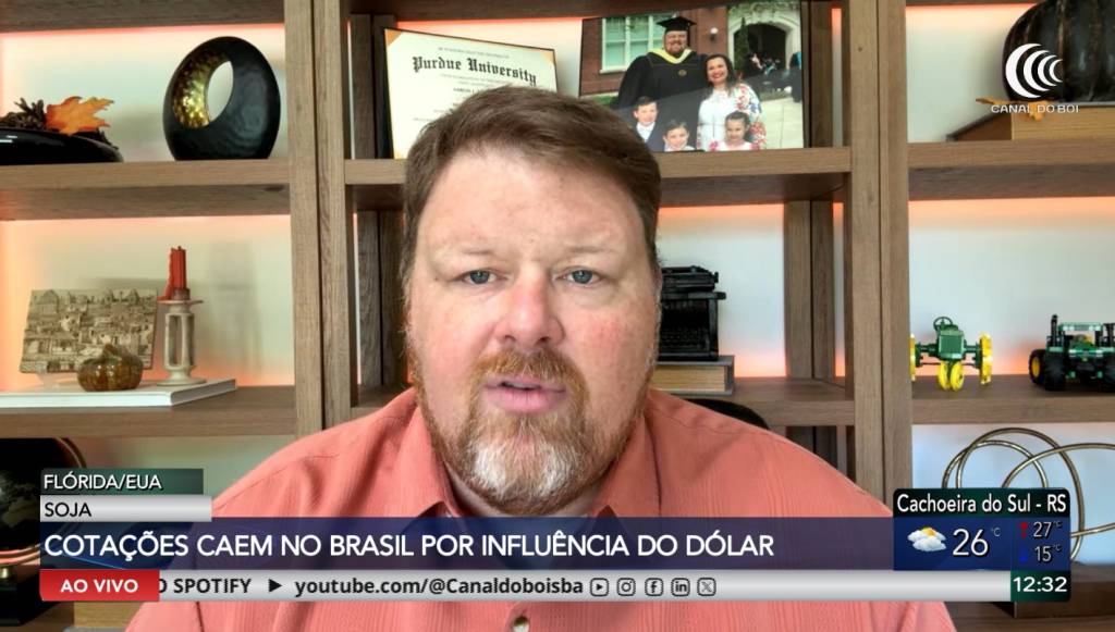 Dólar pressiona cotações da soja no Brasil