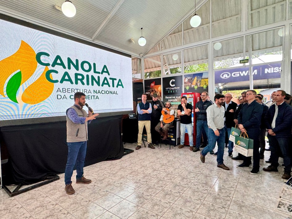 Canola mais que dobra área no RS e ganha força como matéria-prima para biodiesel