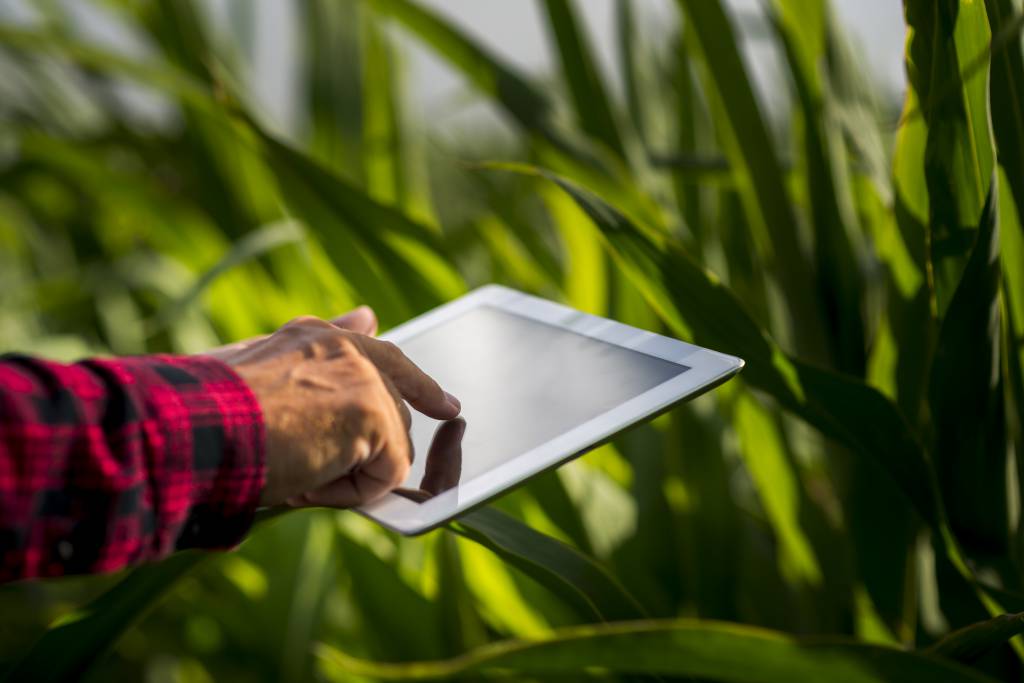 Agricultura de precisão aumenta a rentabilidade do agronegócio em até 30%